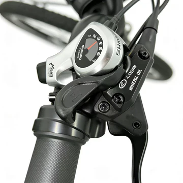 E-bike Detail
