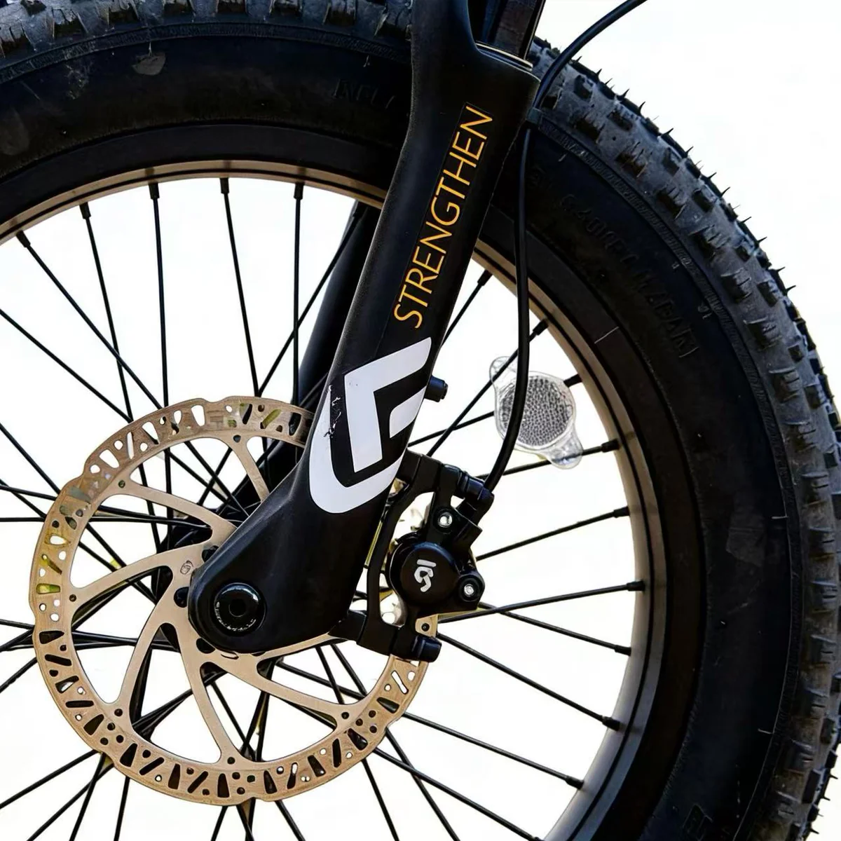 E-bike Detail