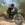 Электровелосипед Likebike LF03, внедорожный электровелосипед, пиковая мощность 2000 Вт, аккумулятор 20 Ач, фэт-шины — изображение 3