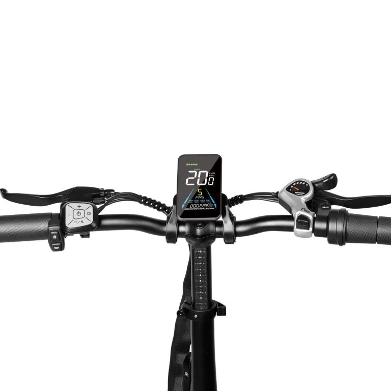 E-bike Detail