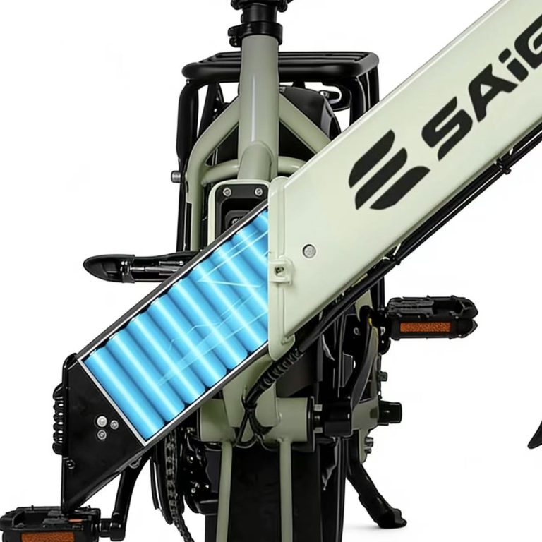 E-bike Detail