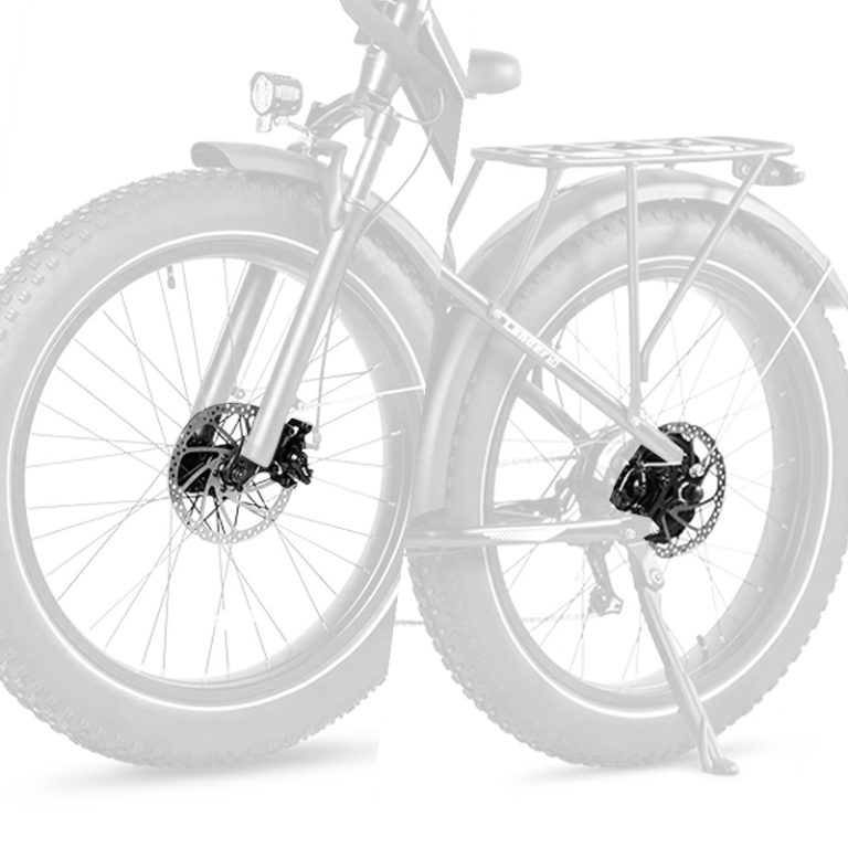 E-bike Detail