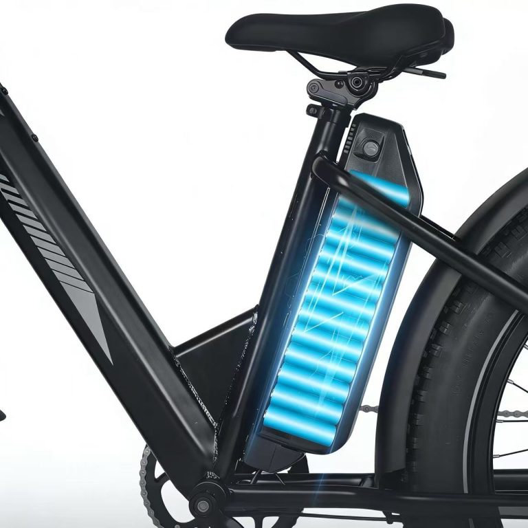 E-bike Detail