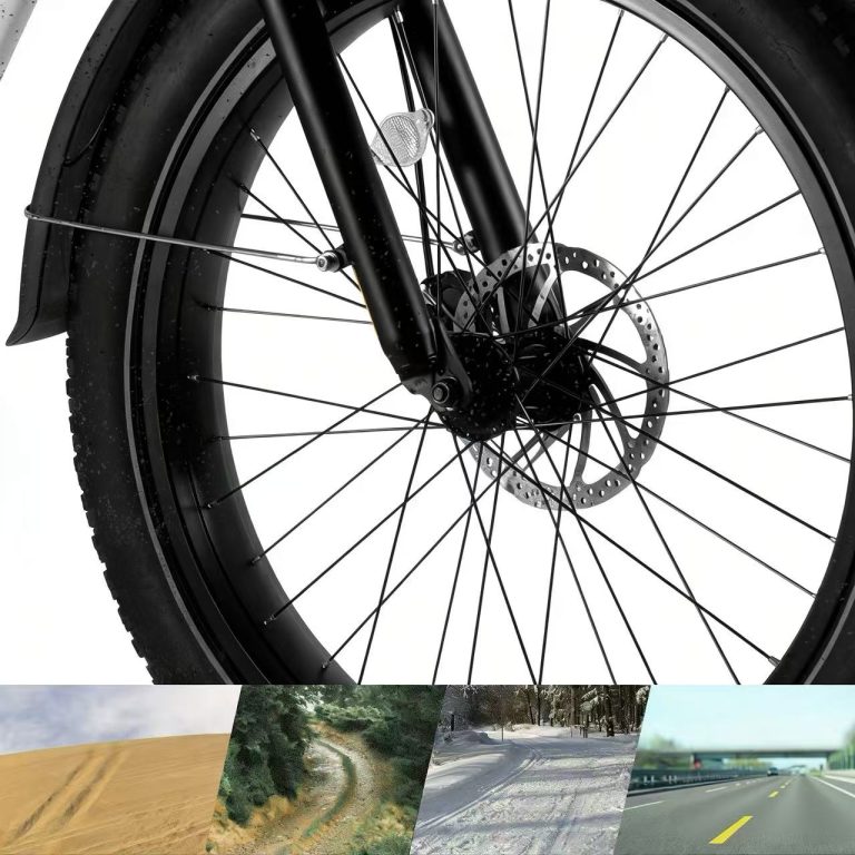 E-bike Detail