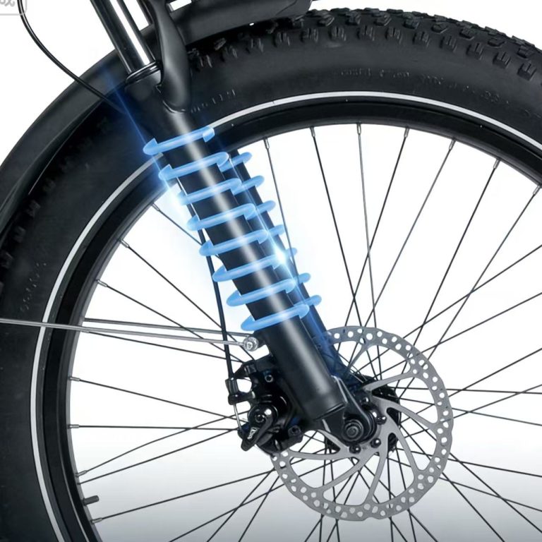 E-bike Detail