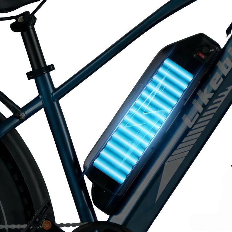 E-bike Detail