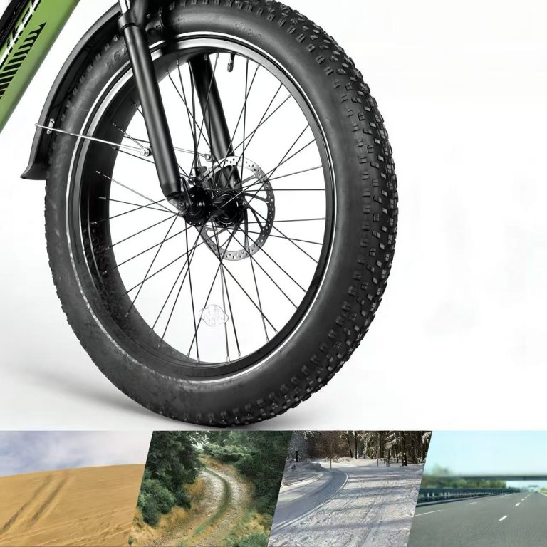 E-bike Detail