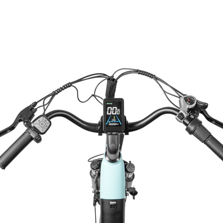 E-bike Detail