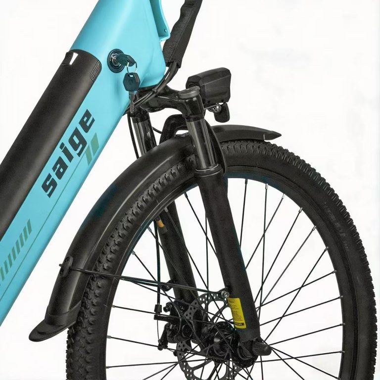 E-bike Detail