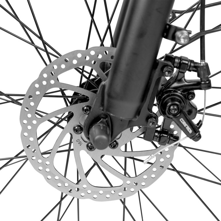 E-bike Detail