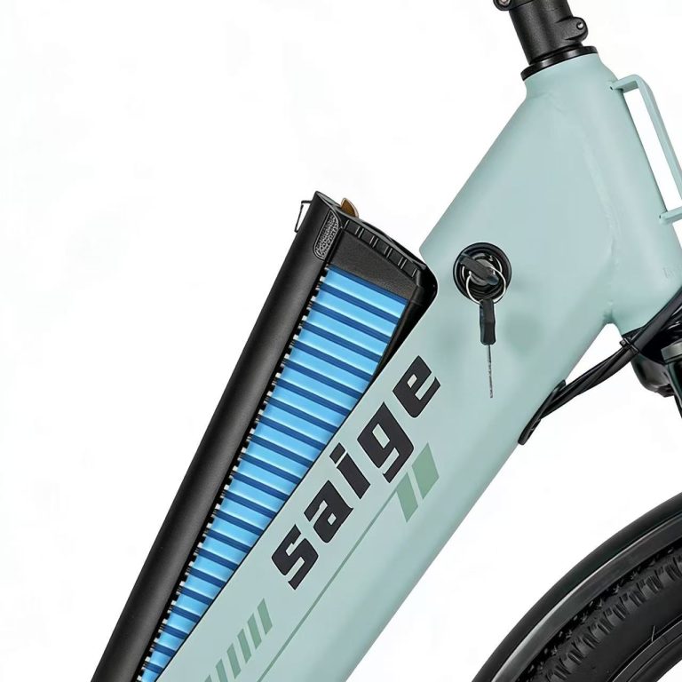 E-bike Detail
