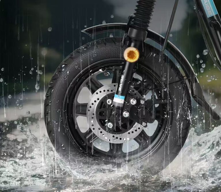 E-bike Detail