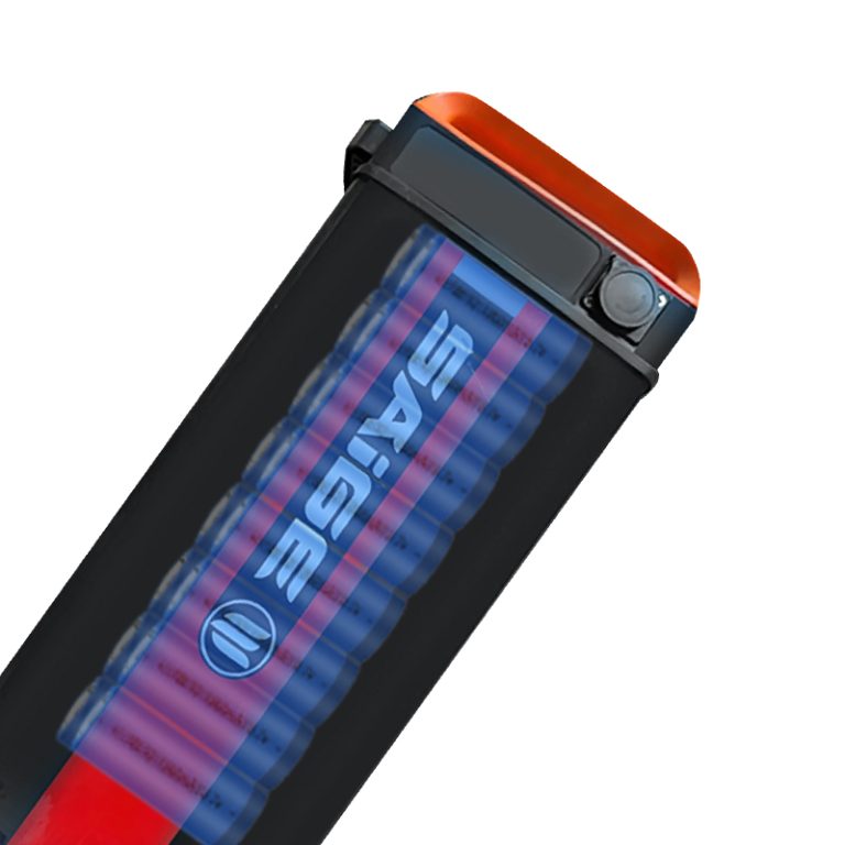 E-bike Detail