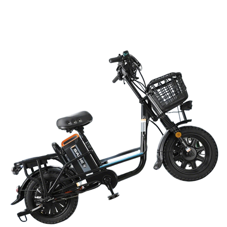 E-bike Detail