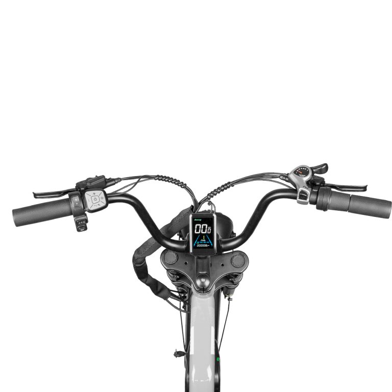 E-bike Detail