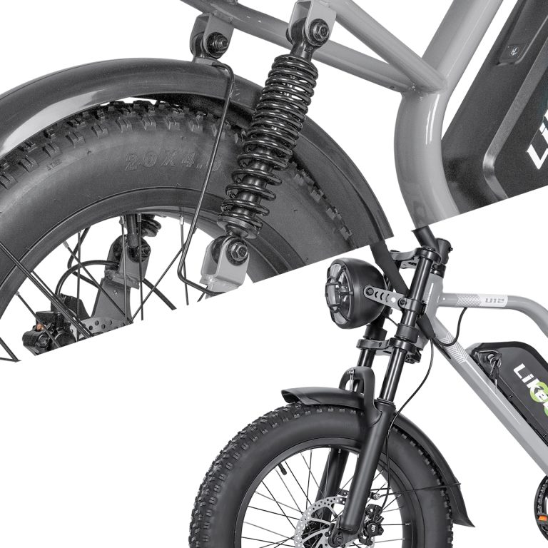 E-bike Detail
