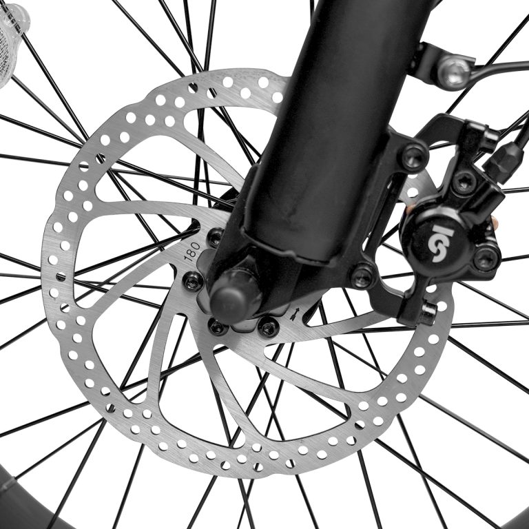 E-bike Detail