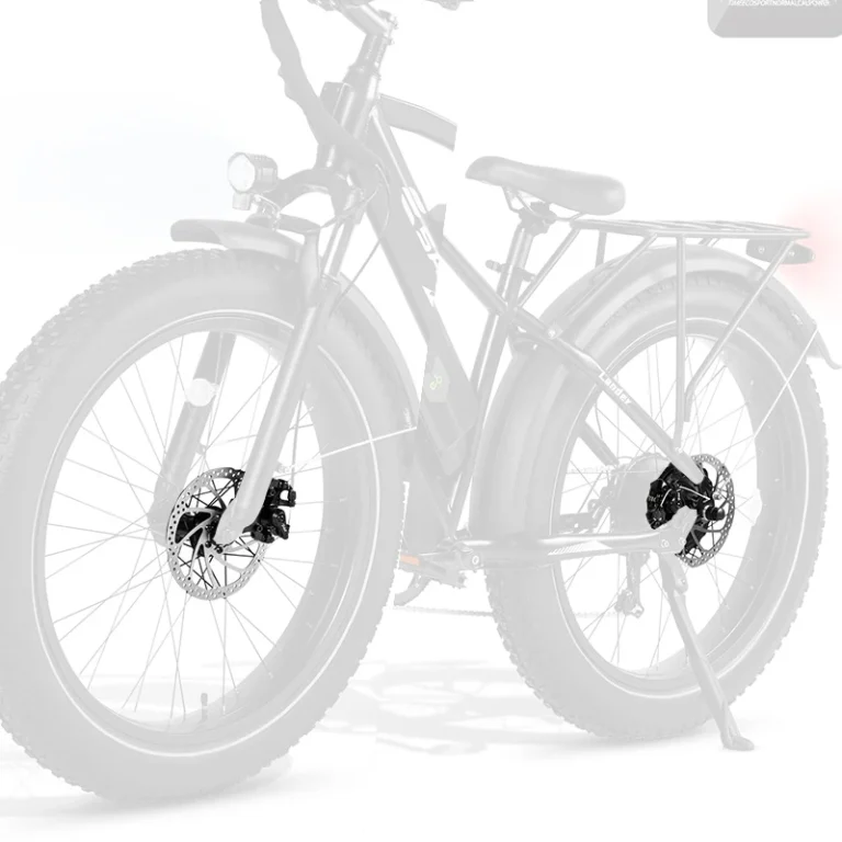 E-bike Detail