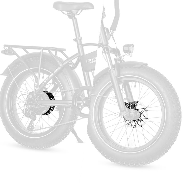 E-bike Detail