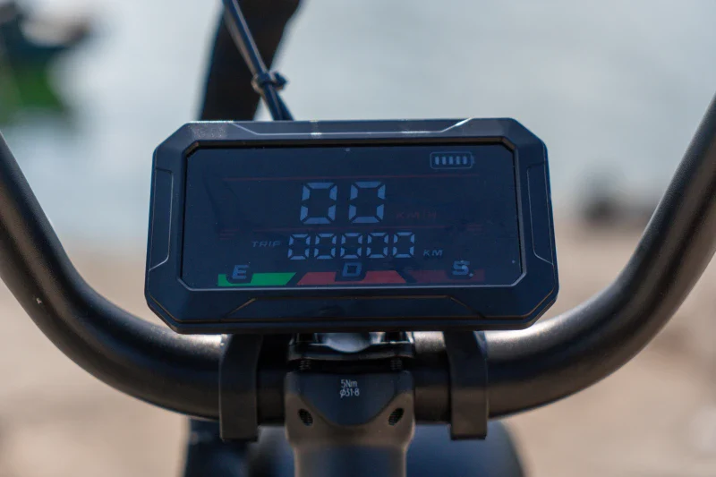 E-bike Detail