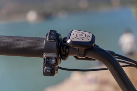E-bike Detail